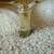 Pottery Barn Style Glass and Brass Tables 6 thumbnail