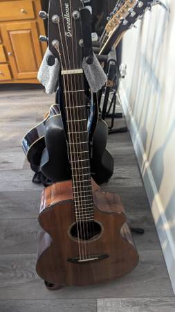 Breedlove acoustic electric guitar 1