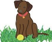 ISO female puppy 1