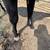 Black Stallion APHA 8 thumbnail