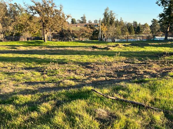 $649,000 / 68765ft2 - 1.75 acres  Rare Find,  build your Dream Home (sebastopol)63736259443331121