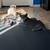 Kittens 2 thumbnail