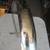 Vintage 1930's Silver King 24" Stainless Steel front fenders 9 thumbnail