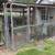 Kennel/Fence 1 thumbnail