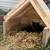 Cat Run in Shed 5 thumbnail