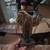 Decorative Western Saddle Sculpture 3 thumbnail