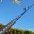 fishing rod for sale 5 thumbnail