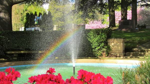 Grave Sites  Evergreen Washelli 1