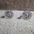 Crystal Door Knobs 3 thumbnail