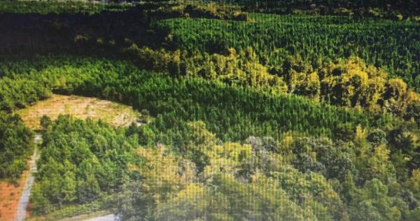 17-acre plot of land 1