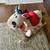 Rocking Horse New 1 thumbnail