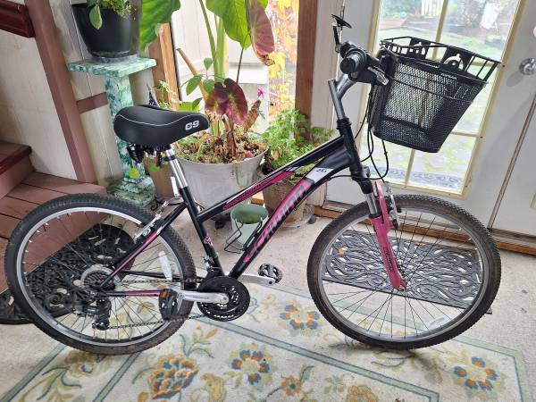 Schwinn 26" Bike in Great Condition with accessories 1