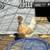 Chickens 9 thumbnail