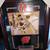 Frank Kaminsky Autographed frame 1 thumbnail