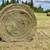 Hay for sale 4 thumbnail