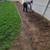 Miguel's yard clean up.mowing.gutter.cleaning 1 thumbnail