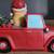 Red Truck Christmas Decor Set 7 thumbnail