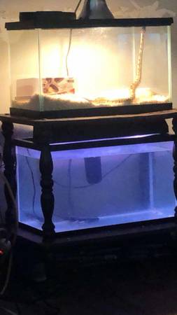 2 tanques de peces de 10 galones (Cleveland)63871910862593120