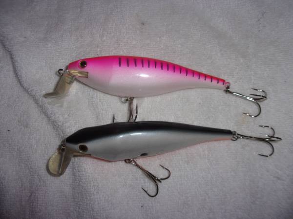 2 Brand New Deep Diving Cisco, 7-1/2 inches 1
