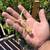 Reptiles 6 thumbnail