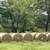 Hay - Clean Fertilized Coastal Bermuda Round Bales 1 thumbnail