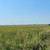 320± Acres Grass Pasture, Cropland, Ponds & More! 7 thumbnail