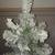 Small Christmas tree 2 thumbnail