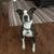 Dogwalker/Overnight Housesitting - Beloved dog & cat whisperer, is me! 7 thumbnail