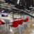 FOR SUBLEASE: 4,000 SF Office in Burnsville, MN! 10 thumbnail