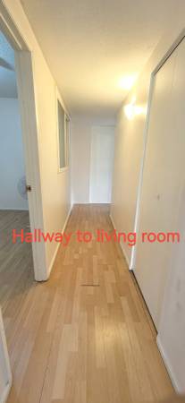 2-Bedrooms 2 Full bathroom, Ground level suite North Burnaby 5