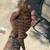 Bearded dragon 1 thumbnail