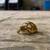 Sulcata 3 thumbnail