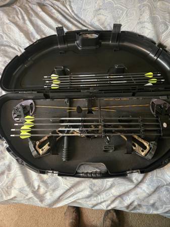Compound bow 1