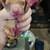 Chiweenies 7 thumbnail