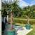 Date Palm Trees 2 thumbnail