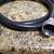 Washer hoses 3 thumbnail