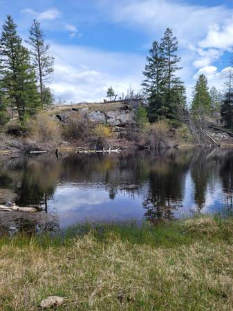 $90,000 Hunting property off grid remote 40acres (Tonasket)63894454153346120
