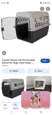 Medium travel crate 1