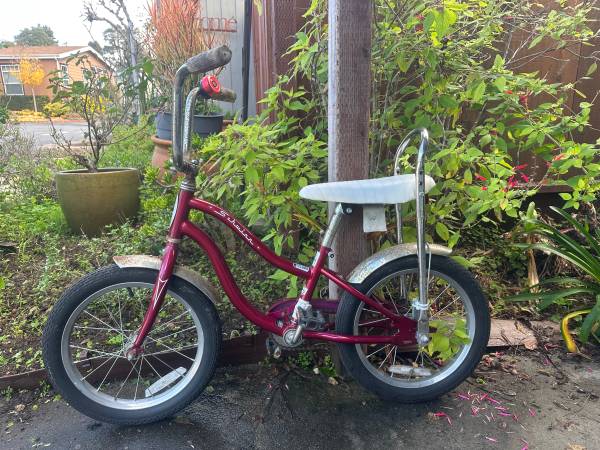 Kids schwinn 1