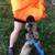 Dog training 6 thumbnail