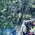 🏡🪵TREE REMOVAL 🌳& STUMP REMOVAL 📞CALL OR TEXT 💬253-414-3805 24 thumbnail