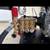 ELECTRIC START POWERFUL 4000 PSI POWER WASHER 11 thumbnail