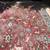 10x13 feet Handmade Persian rug 1 thumbnail
