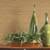 York Vinyl GRASSCLOTH CH7990 Wallpaper 2 thumbnail