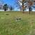 Westmoreland County   Four (4) Burial Plots 2 thumbnail