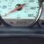 *2005* *Toyota* *Camry Solara* ** 21 thumbnail