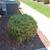 Yard maintenace clean up 5 thumbnail