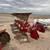 CaseIH 145 5 bottom infurrow 2 thumbnail