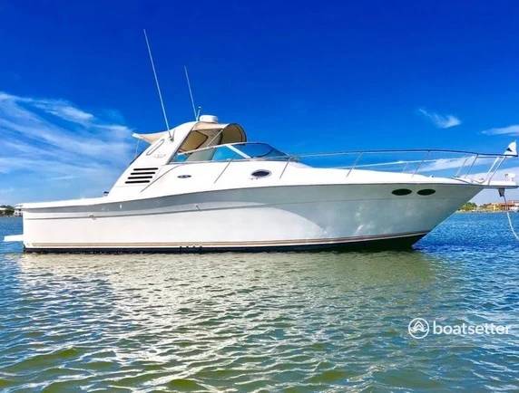 Sea Ray 330 Express Cruiser / Amberjack 1