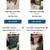 Online auction 7 thumbnail
